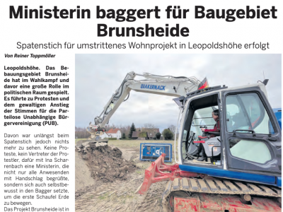 Artikel als PDF-Datei